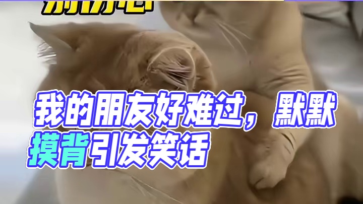 是我本人没错了