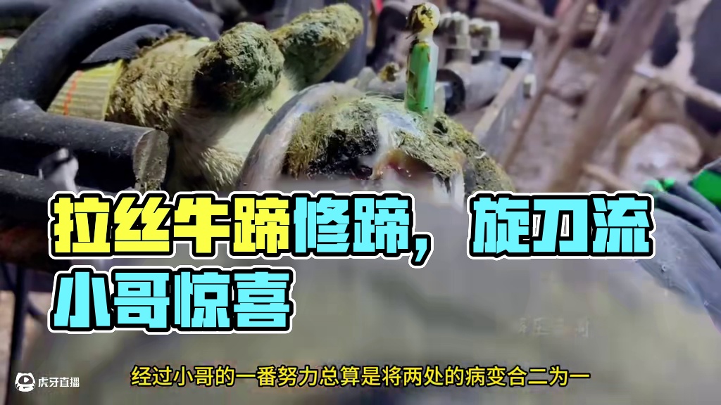 又见拉丝牛蹄，带给旋刀流小哥惊喜#解压 #助眠 #治愈系 #强迫症 #修蹄