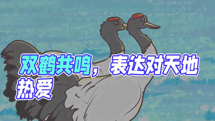双鹤共鸣，传递着对彼此间和天地的热爱