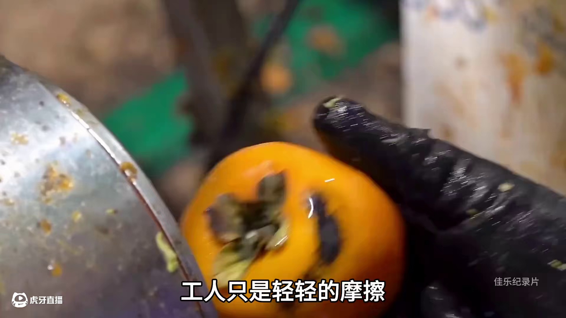 工人只是轻轻的摩擦，柿子的翘臀就变成了板寸#柿饼 #流心柿饼 #柿子