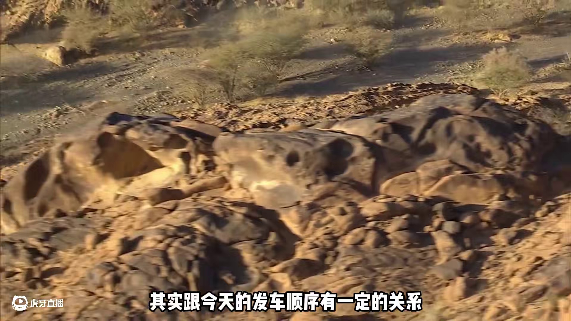 2025达喀尔拉力赛48小时赛段首日快报：你猜我今晚住哪儿？ #达喀尔拉力赛 #2025达喀尔拉力赛