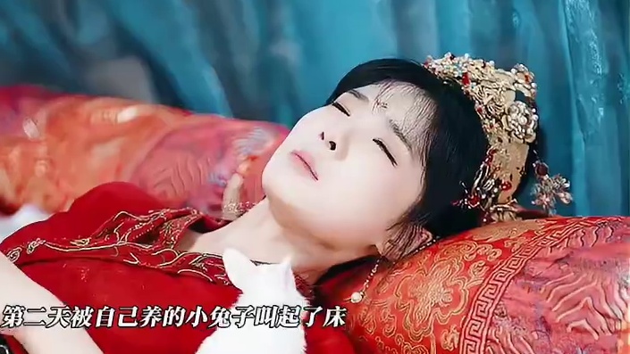 每天不剧荒系列~