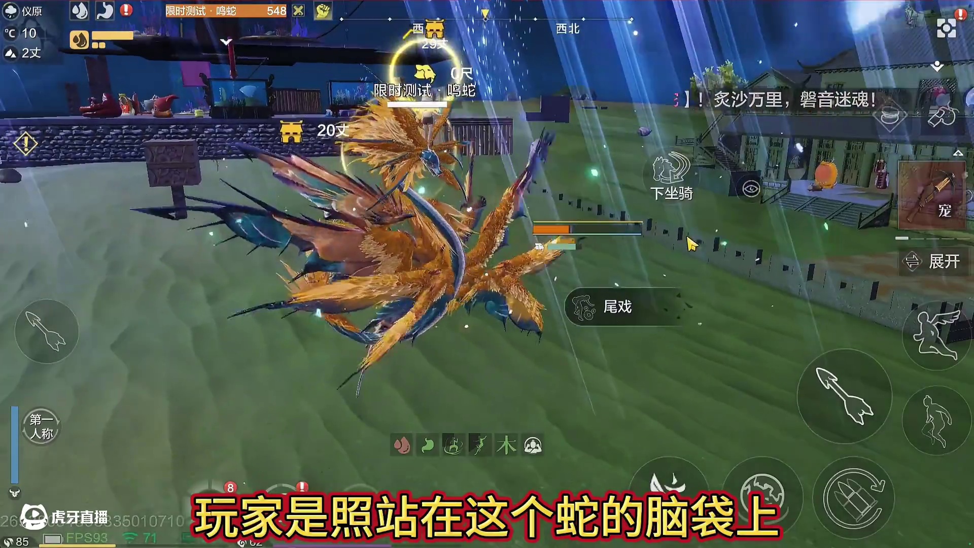 鸣蛇的人形态 说实话这个模型真的有点难崩 不再是附身仅是骑乘 没有属性继承 主动技能伤害测试#妄想山