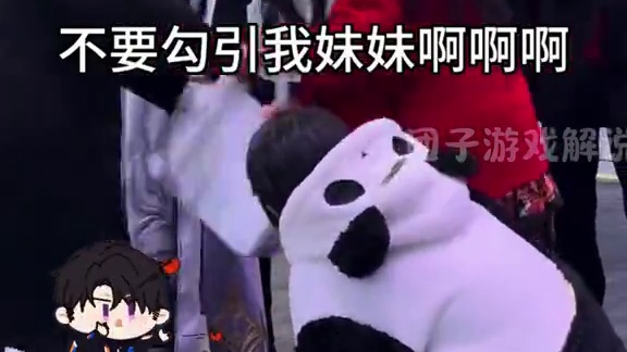 家里不嫌乱的可以把他们五个领回去