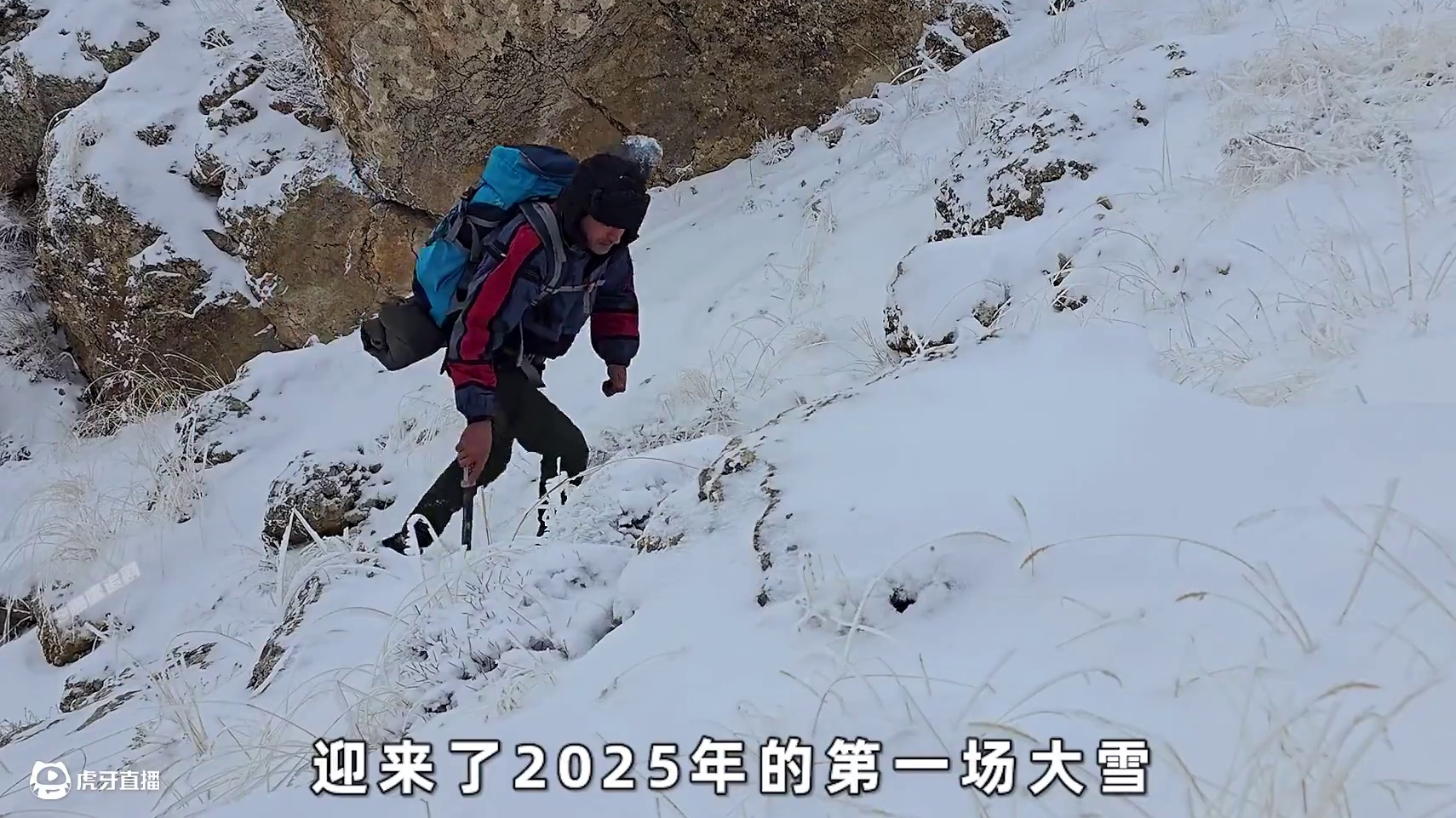 这样的庇护所绝对能在零下二十度的荒野中救你一命#荒野建造 #野外生存 #户外露营 #荒野生存