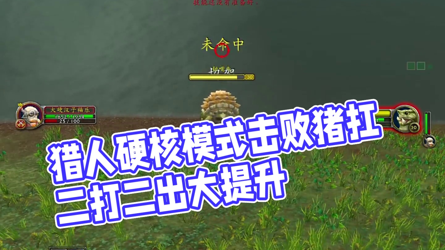 猎人下次别带野猪了 #魔兽世界 #魔兽怀旧服 #我们比你们一个世界 #魔兽世界硬核模式  #魔兽世界