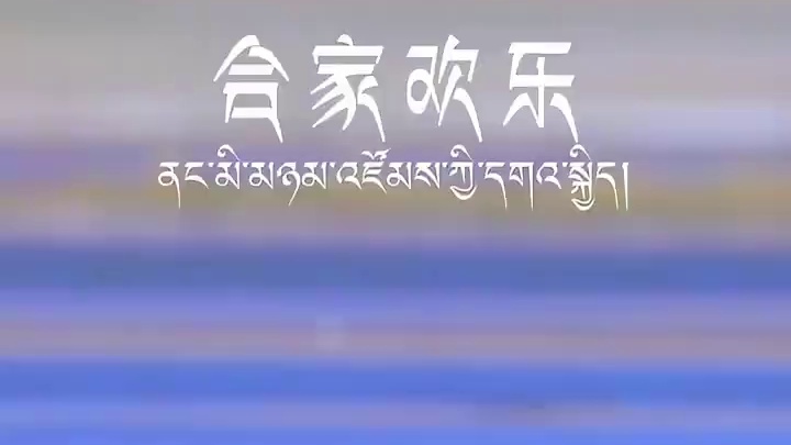 看黑颈鹤一家姿态优雅，相互依偎，亲情满溢，为这清冷世界添一抹暖，愿我们也如它们，阖家欢乐，岁月安宁。