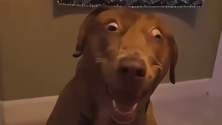 小孩哥：嘿嘿，放假没有作业喽