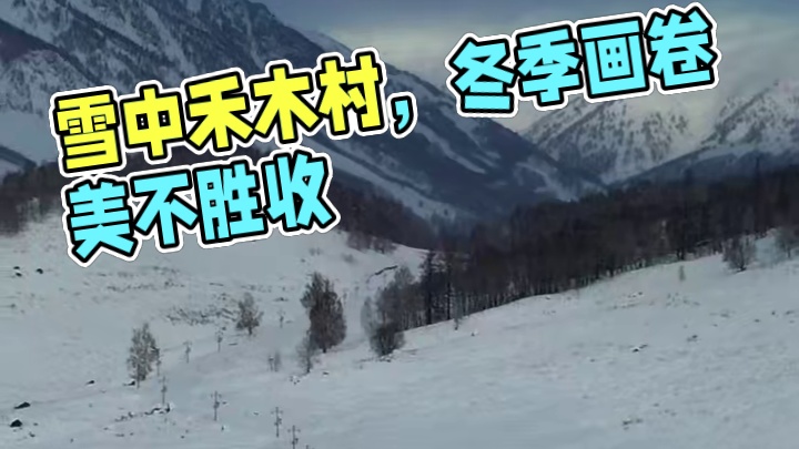 雪中禾木村谱写着那片诗意的画卷️❄️#禾木村 #冬天该有的样子 #禾木村雪景 #禾木的冬天美的让人窒
