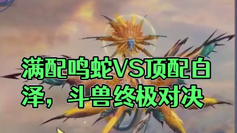 10.4万满配鸣蛇VS10.5万顶配白泽 睚眦 斗兽终极对决 确实很强  但这也是他仅有的优点了#妄
