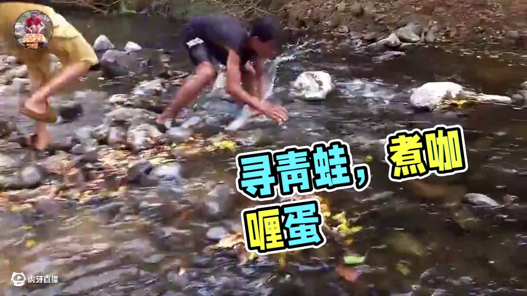 寻找和捕捉青蛙煮咖喱蛋作为食物 #生活的烟火气息 #我的乡村生活 #童年味道 #农村美食记录生活 #