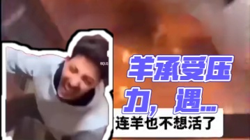 羊：压力太大了‍♀️‍♀️‍♀️