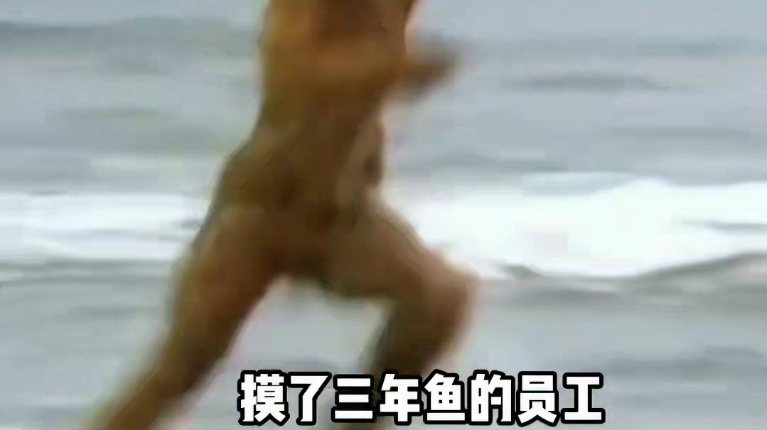 摸了三年鱼的员工，今天上班格外的认真！#万万没想到 #打工人 #搞笑 #精神状态 #看一次笑一次