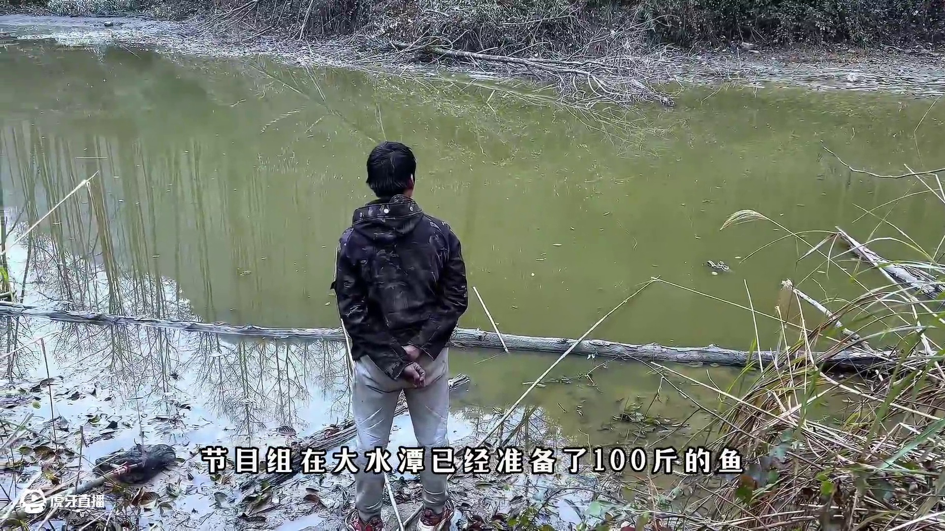 老六荒野 荒野生存积分赛  张家界樟树营杯  第五天【下集】 #真实户外 #野外生存 #户外运动  