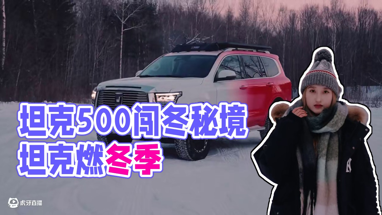 跟随#坦克500前往冬日秘境 #坦克当红不让 #漫山遍野皆坦克燃冬季