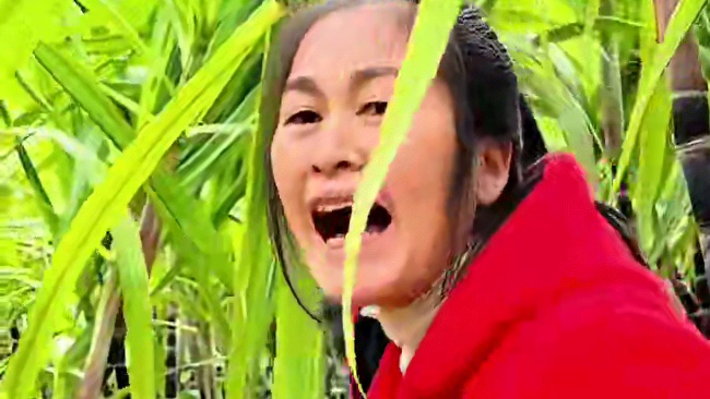 山村厨神小当家 今天做一道鸿运当头  牛头像我这样做绝对好吃 #农村生活 #农村美食 #乡村味道 #