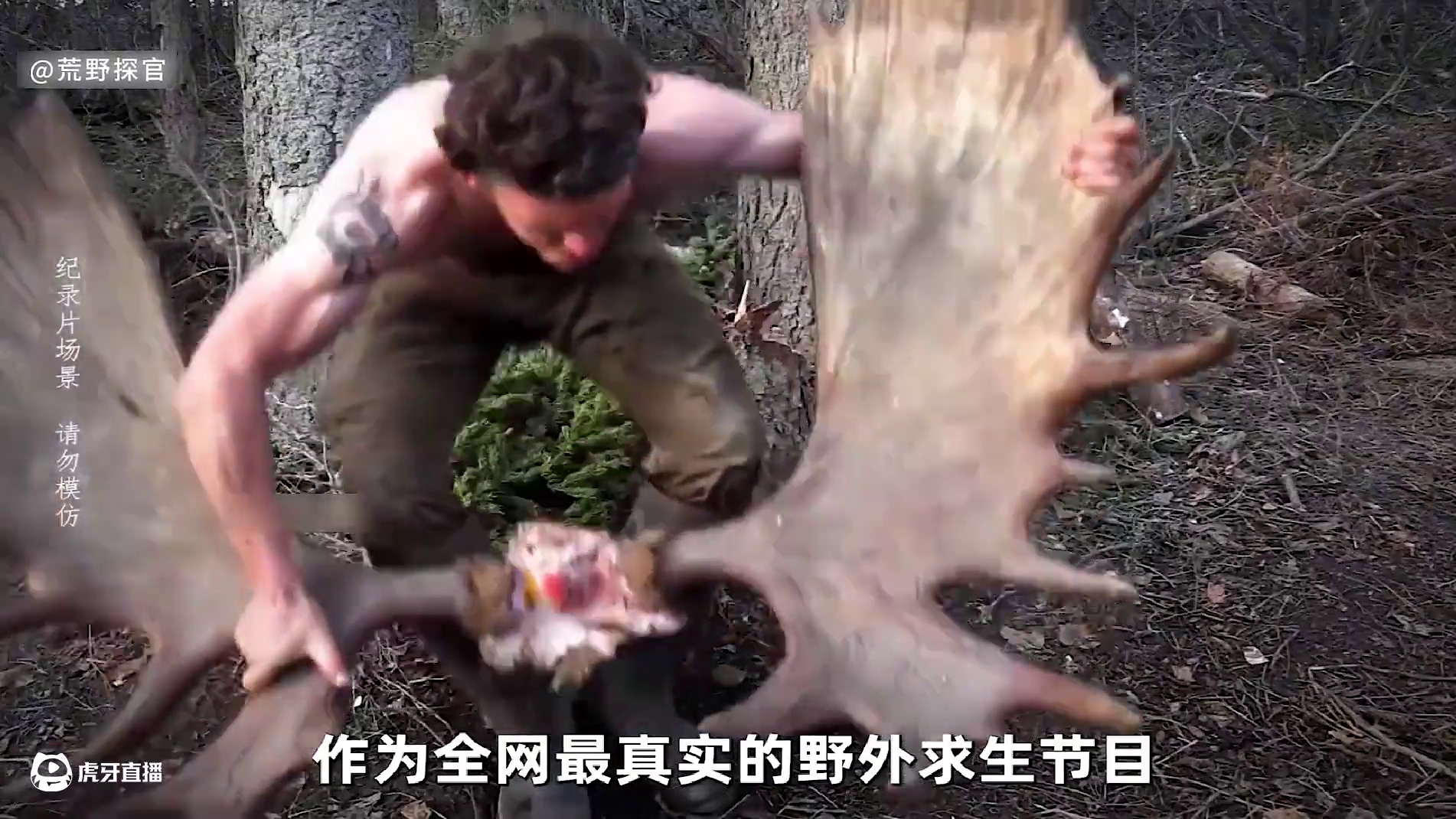 荒野独居 十一季 作为全网最真实的荒野求生节目，荒野独居十一季可谓是高手云集，除了射杀千斤驼鹿的大神