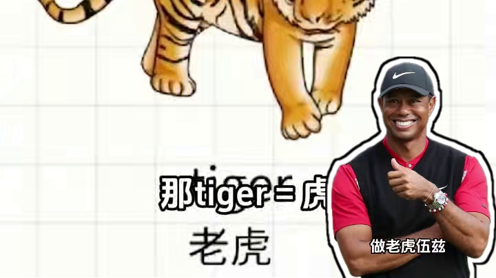 你见过哪些神级翻译？ #内容过于真实 #谢谢有被笑到 #搞笑翻译 #神经病 #救救孩子吧