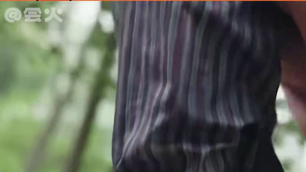 国色芳华就应该出海，给歪果仁看看我们的细糠#国色芳华 #历史 #文化 #唐朝 #杨紫