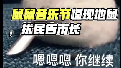 人鼠的悲喜并不相通#趣事 #鼠鼠我呀在努力生活了 #万万没想到 #鼠鼠