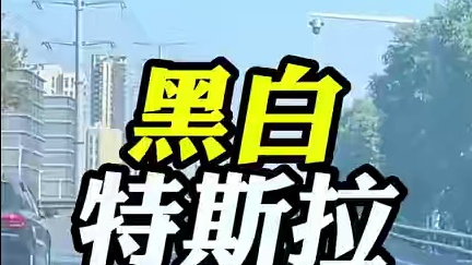 白色特斯拉与黑色特斯拉的区别！