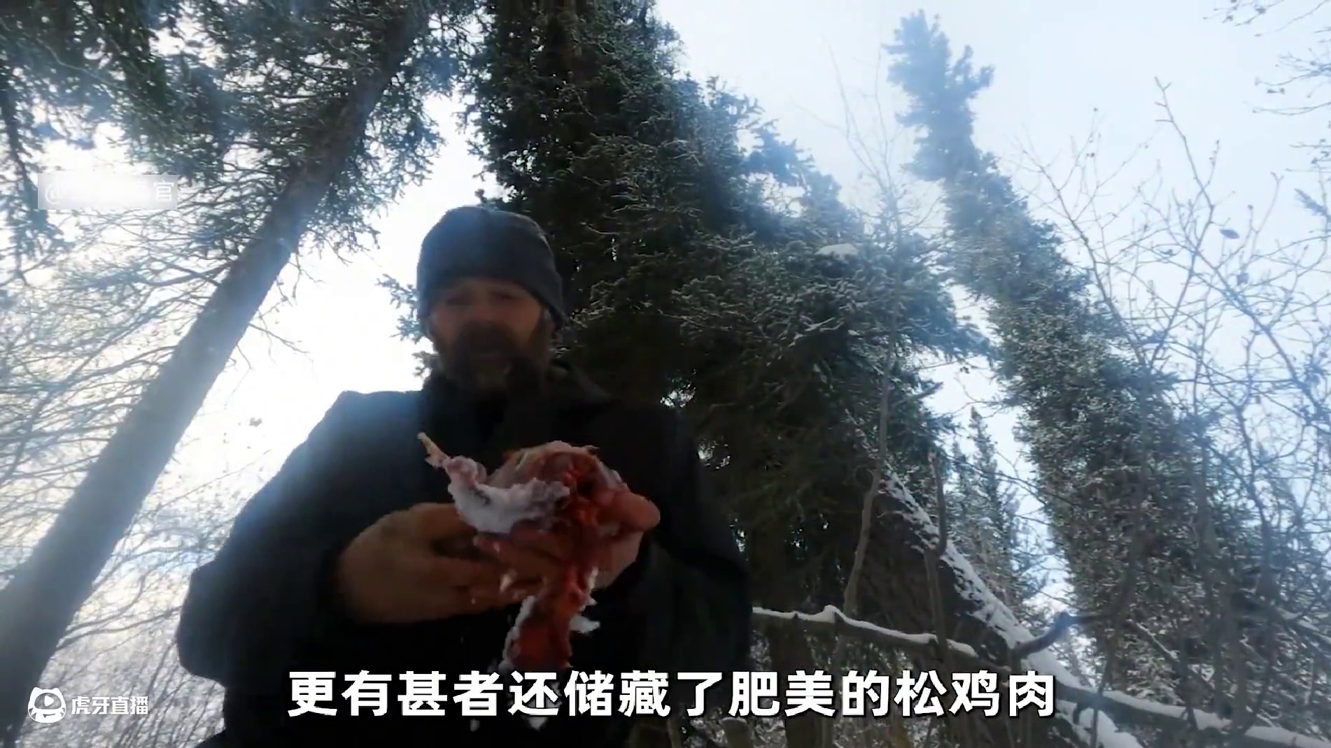 荒野独居 十一季 这才是我见过的最真实的荒野求生，眼看比赛进行到关键时刻，剩余的三位大佬实力不分上下