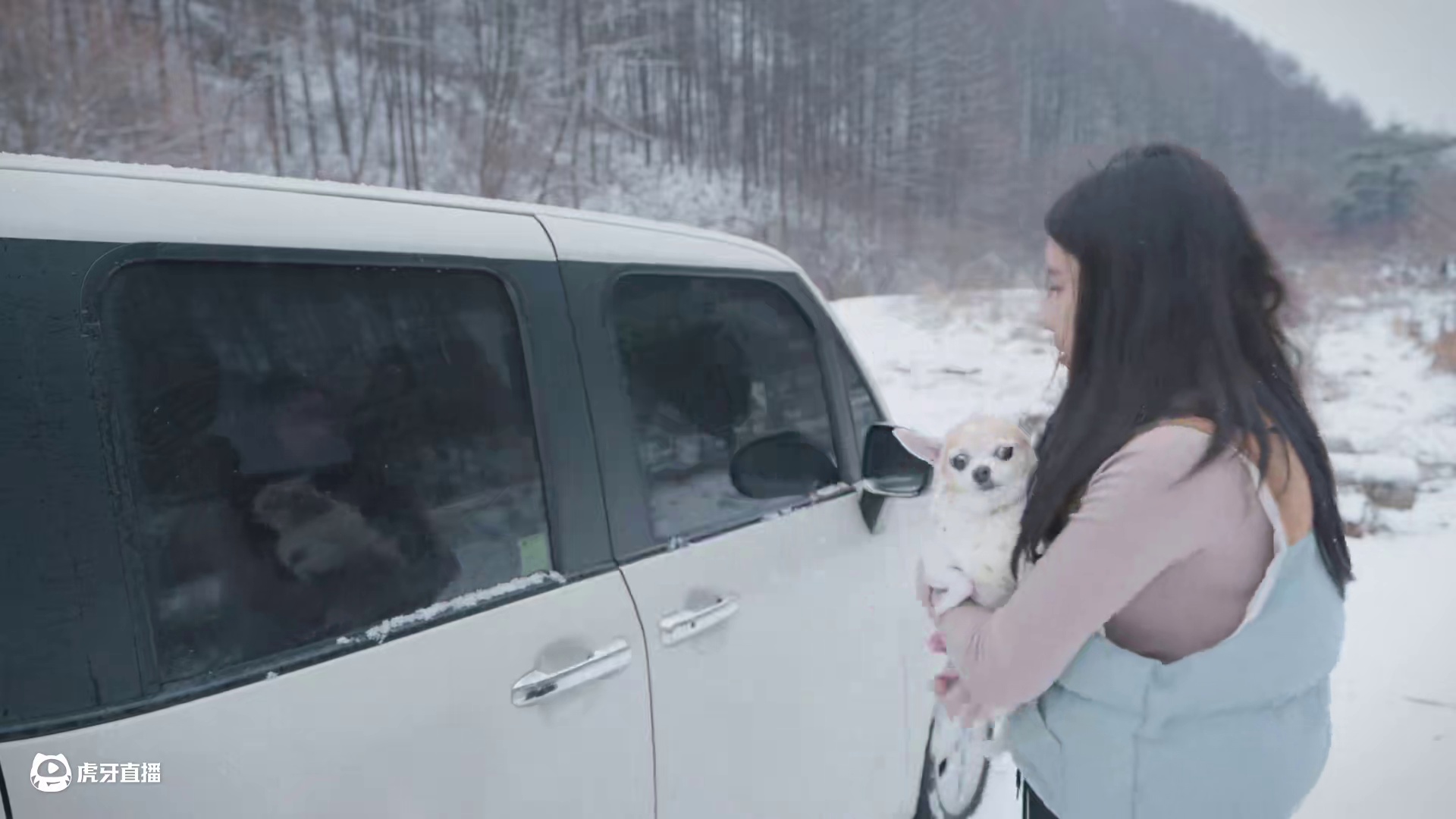 【无限露营】小姐姐雪中露营 #露营⛺ #沉浸式体验