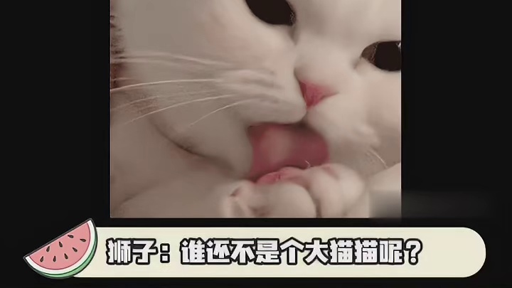 狮子：咱俩天下第一好~