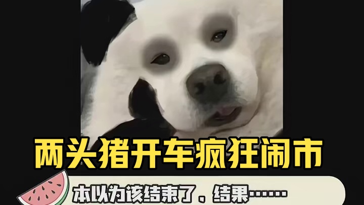 猪：这车上有两头猪我没开玩笑！