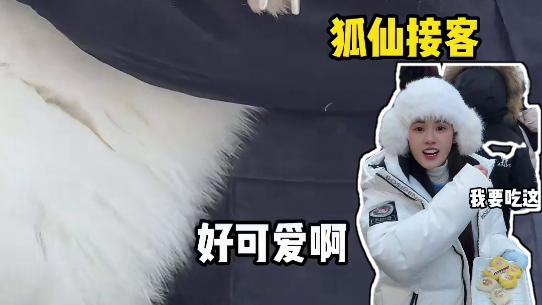 尔滨三天两晚好吃好玩好出片攻略请查收 