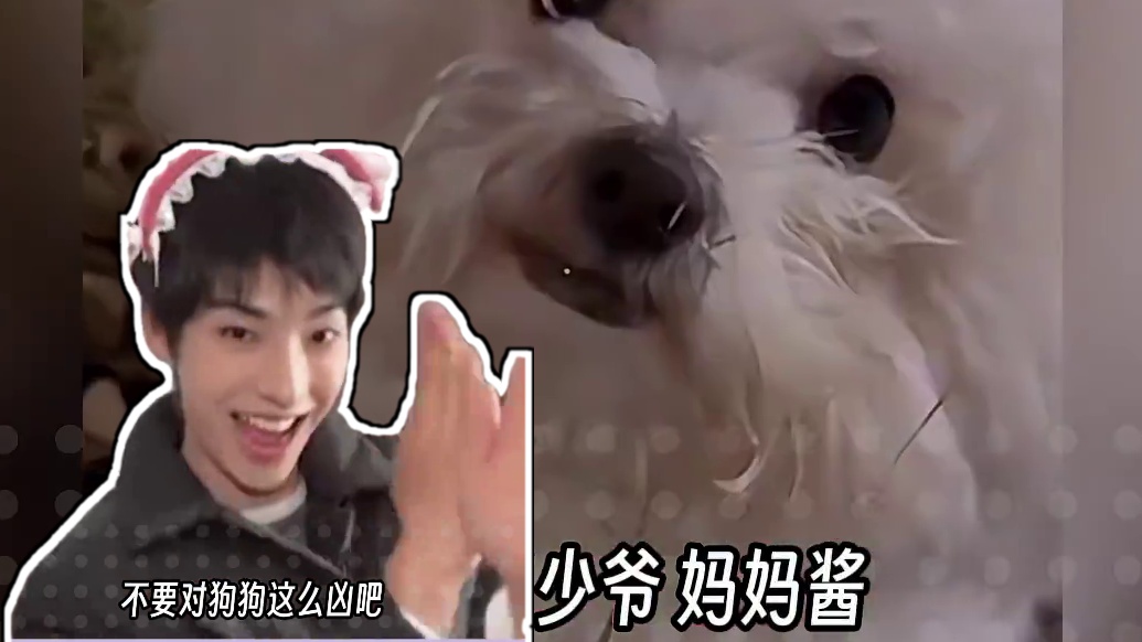 小趴菜：这可回不去啊！！#狗狗 #潘宏 #狗狗 #搞笑