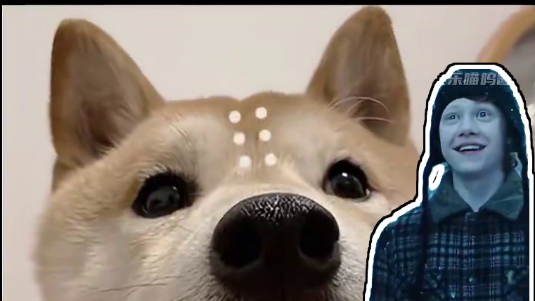 已经要笑倒在评论区啦，这是要承包我一整天的笑点吗#歪果仁 #搞笑 #外国人挑战流行梗