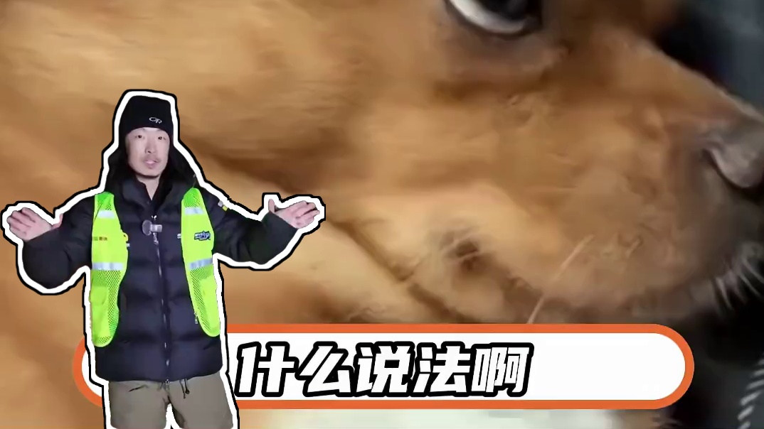 一次两次可以说是偶然，但是接二连三就需要反思一下了#新能源汽车 #比亚迪 #爆胎 #冬测