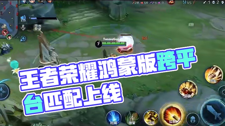 《王者荣耀》鸿蒙版上线，支持跨平台匹配 #王者荣耀  #华为  #纯血鸿蒙  #安卓  #iOS