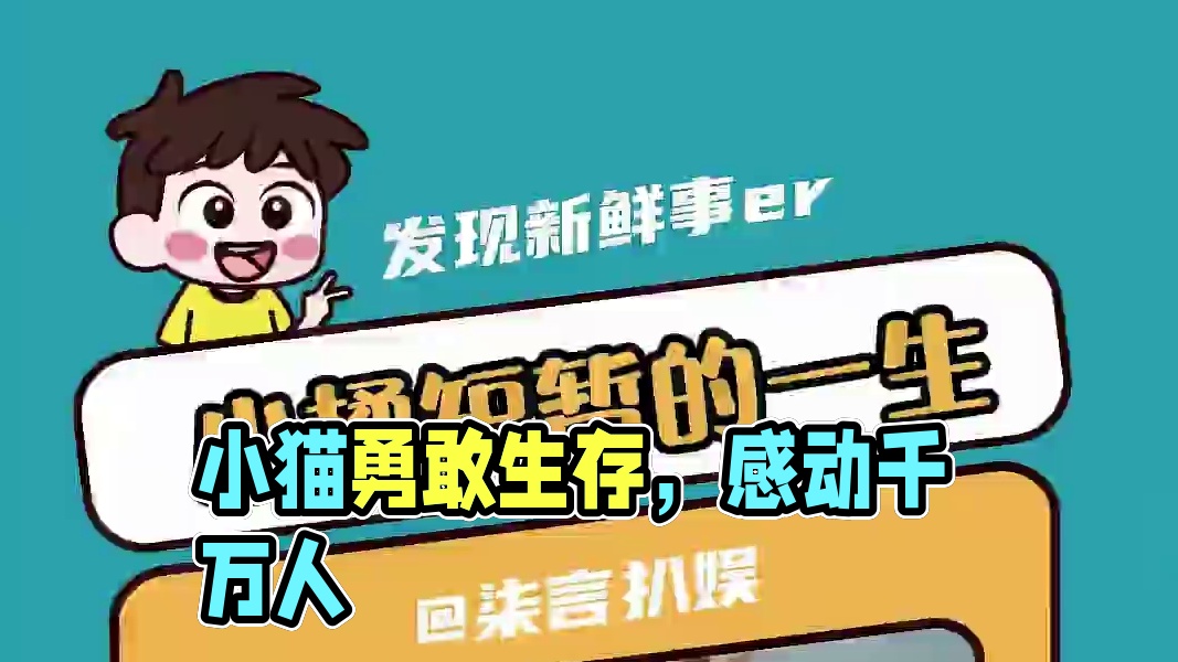 每次看到都会哽咽#内容过于真实 #小猫 #可怜猫猫