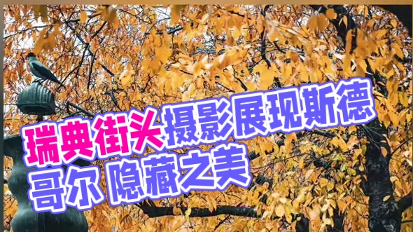 审美提升|DAY.250|Visualtale 瑞典摄影师Visualtale的街头摄影展现斯德哥尔