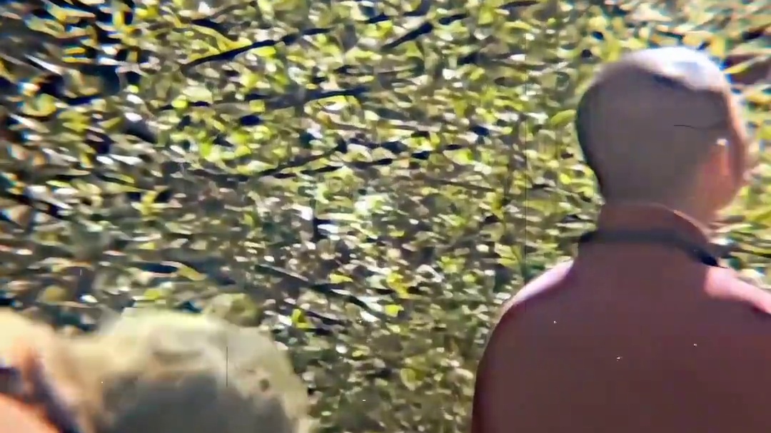 ＂Sun Wukong: When I haven't seen Journey to the We