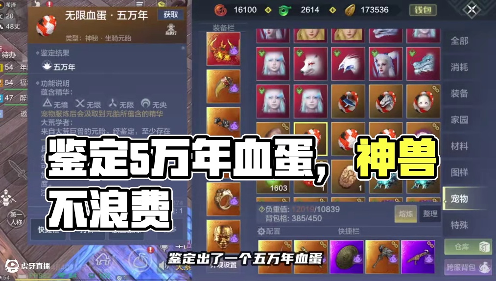 无限血蛋鉴定出五万年！还剩两个继续鉴定下 #妄想山海 #妄想山海四周年