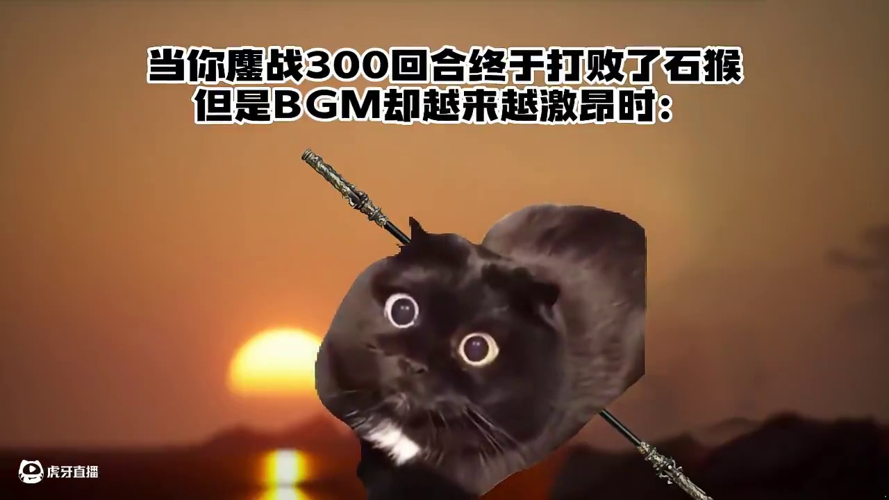 完蛋！#猫 #游戏 #太真实了