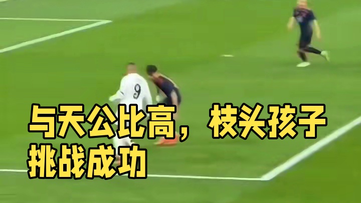 “欲与天公试比高”