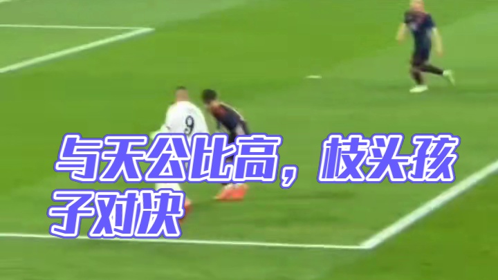 “欲与天公试比高”