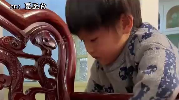 在中国没有一个东西逃得过大扫除 #猫咪  #宠物  #过年   #洗澡