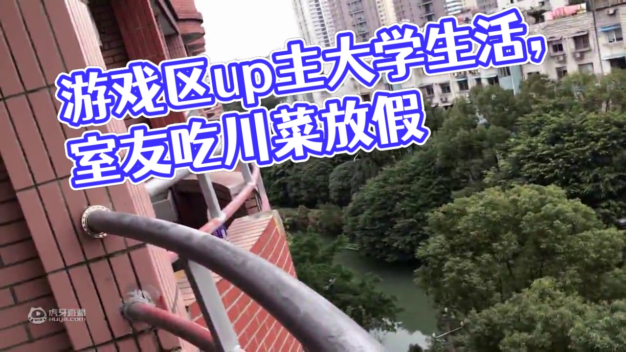 【vlog】1 游戏区up主的大学生活 放假前的最后一天和室友吃川菜！