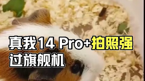 两千价位段拍照天花板？真我14 Pro+到底有多强 #真我14pro+ #数码 #科技