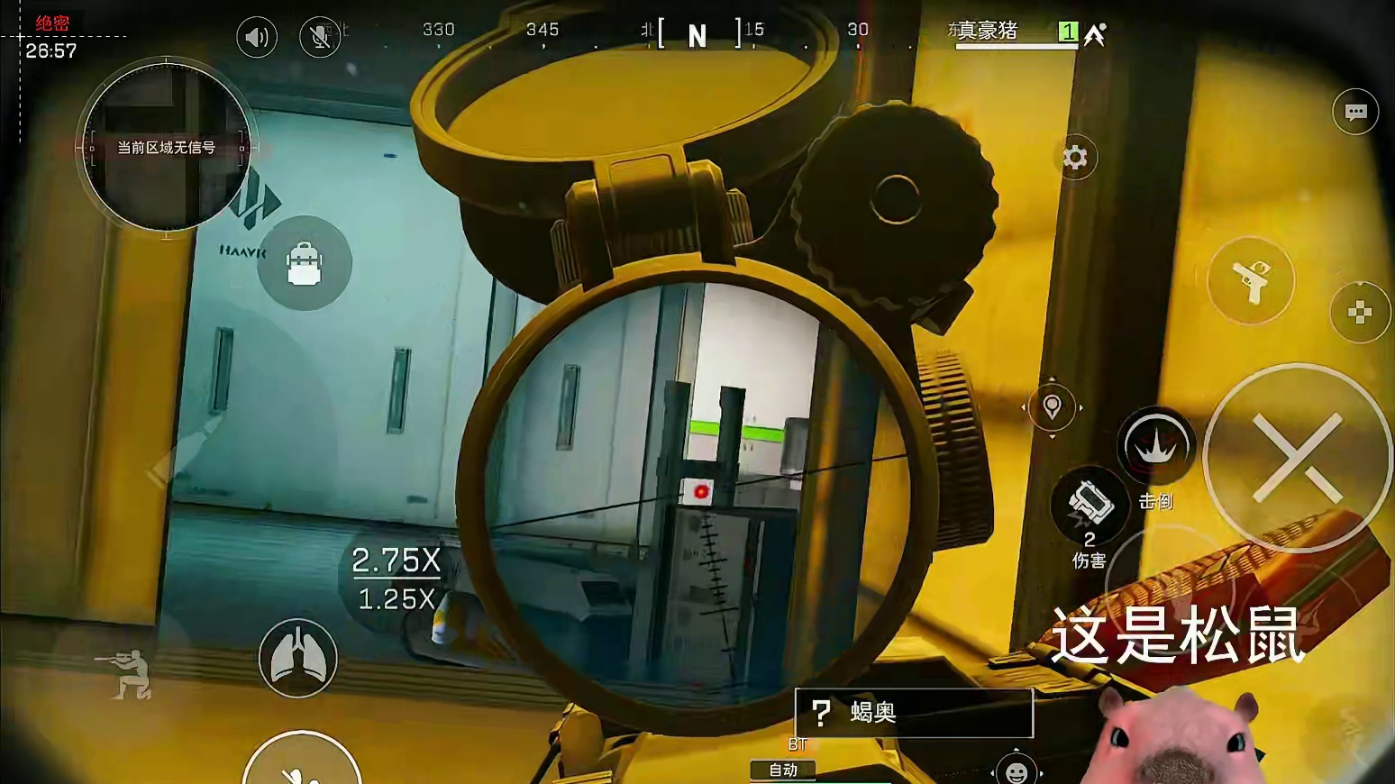 豪猪遇到我算是有救了呀，必须带豪猪走出深山老林 #三角洲行动  #三角洲新年正当红  #新年第一把三