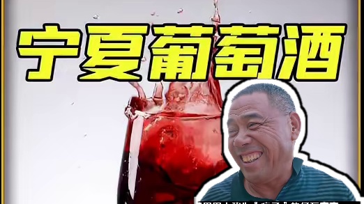 你喝红酒还在兑雪碧吗？快试试这款专为国人研发酿造的宁夏贺兰山半甜红葡萄酒吧！#半甜红葡萄酒#红酒#涨