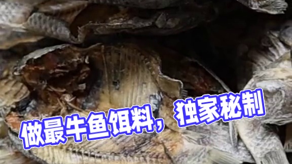 做全网最牛握团酒米，不服就做 做全网最牛握团酒米，不服就做#鱼饵制作 #爆护饵料 #饵料 #秘制饵料