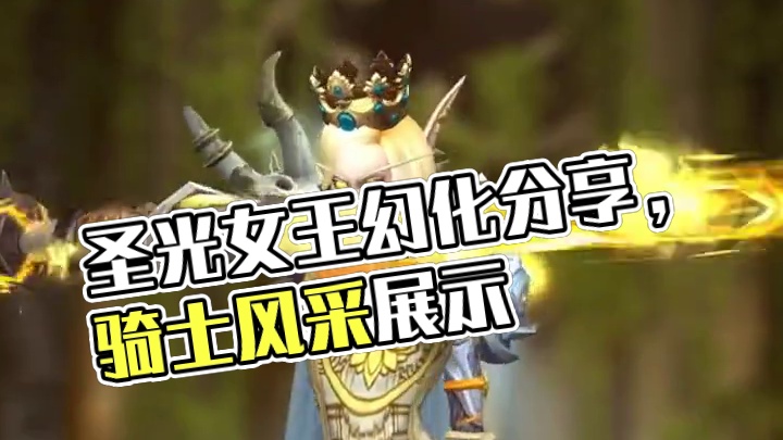 圣光女王，魔兽世界圣骑士幻化分享，附调料包 #魔兽世界 #魔兽世界幻化 #魔兽幻化 #骑士幻化 #内