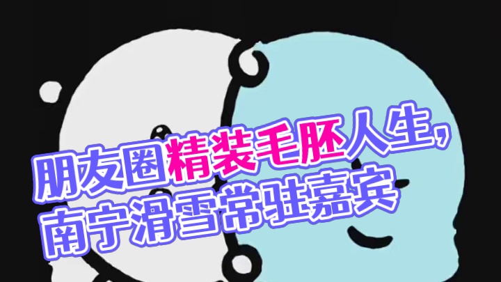 毛胚的人生精装的朋友圈，苦了什么也不能苦了朋友圈