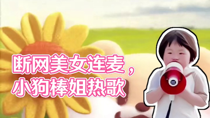 都断网了吗？这么优质！！都没人看˃̣̣̥᷄⌓˂̣̣̥᷅